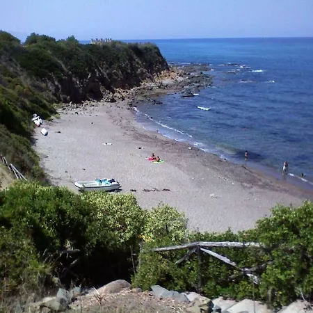 Gaia Cefalu